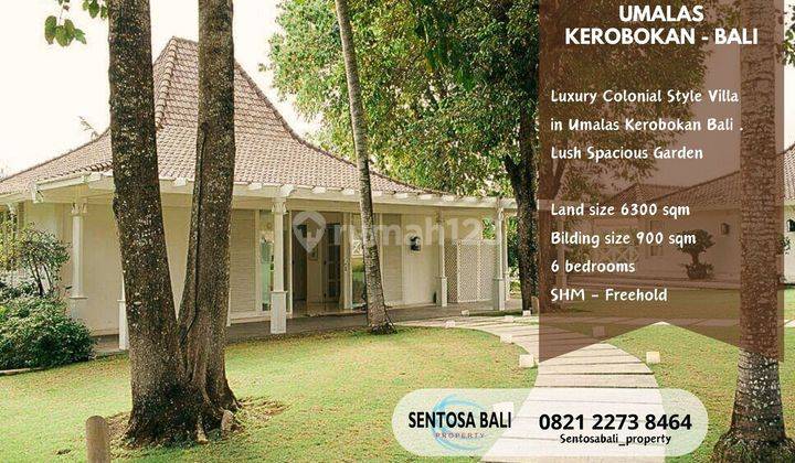 Luxury Colonial Style Villa in Umalas, Kerobokan, Badung 1