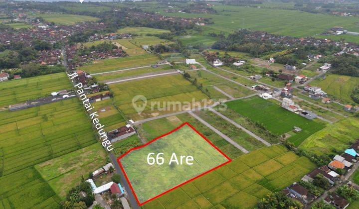 Freehold Land Sale 6600m² In Kedungu Tabanan Bali 1