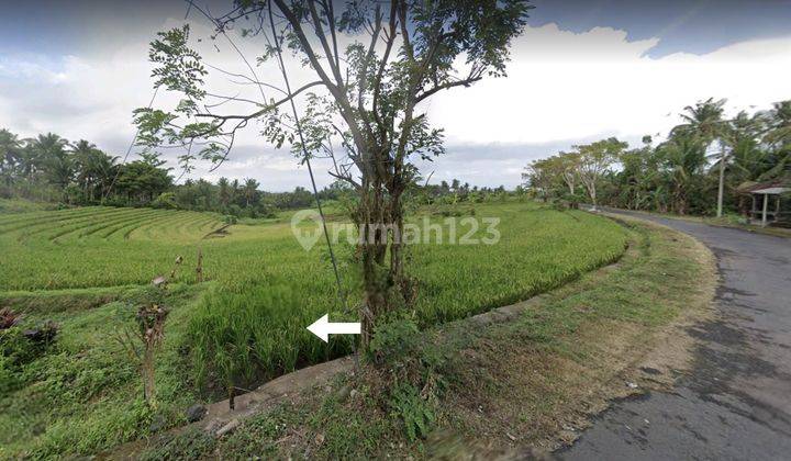 Land area 3950m² sea view in Bonian Selemadeg Tabanan 2