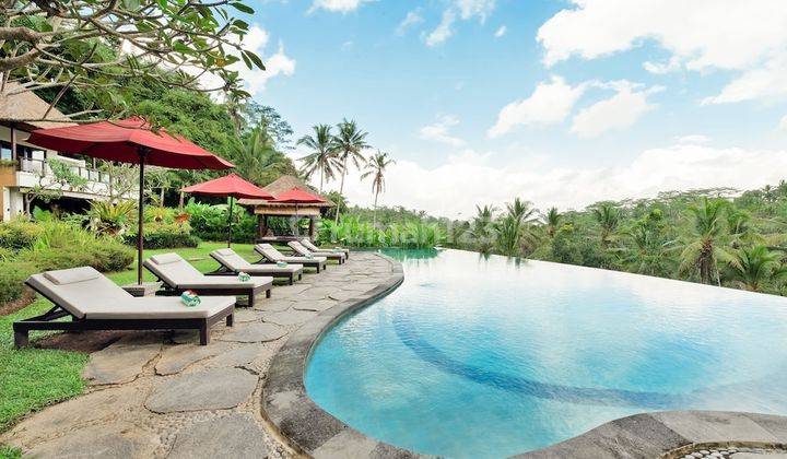 Luxury Villa 3300m² In Kelusa Payangan Ubud Bali  1