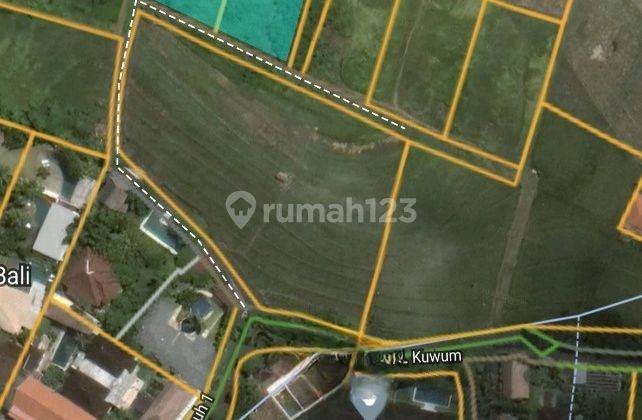 Cheap Land in Bumbak Umalas Kerobokan View Rice Fields 2