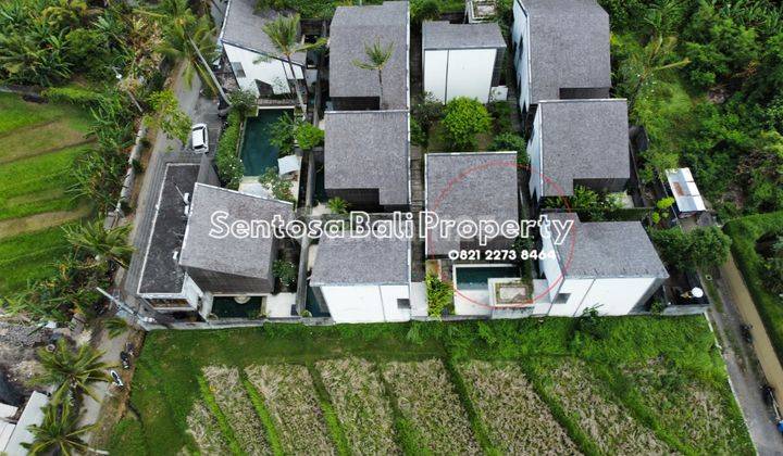 Complex 12 Villa In Nyanyi Beraban Tabanan Bali Rice Field View 2