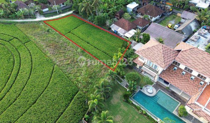 Tanah Murah 700m² di Tibubiu Pasut Tabanan View Sawah 1