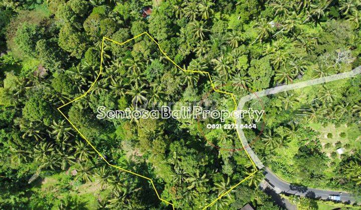 Tanah Murah 2680m² di Kelusa Tegalalang Ubud Bali 1