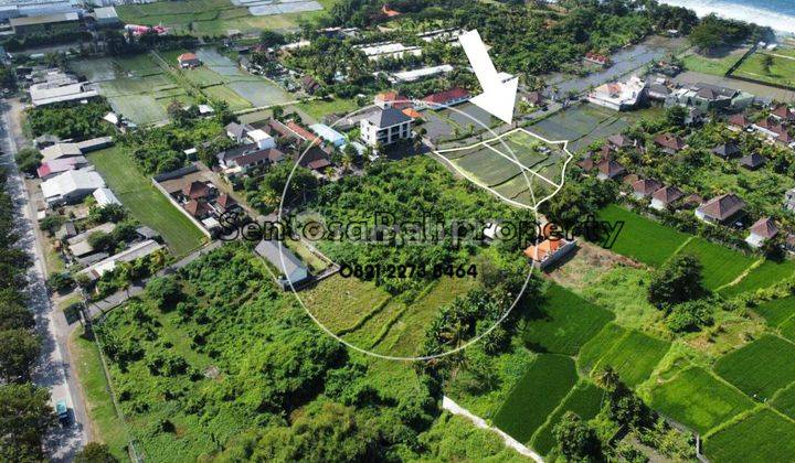 Tanah 1390 m² di Keramas Gianyar Dekat Pantai 2