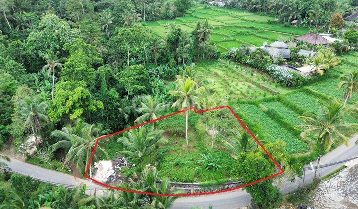 Tanah 1217m² di Payangan Ubud Bali View Sawah Dan Tegalan  1