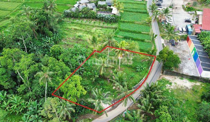 Tanah 1217m² di Payangan Ubud Bali View Sawah Dan Tegalan  2