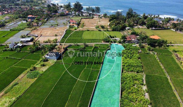 Tanah Murah 3390m2 Dekat Pantai Padang Legi Keramas Gianyar  1