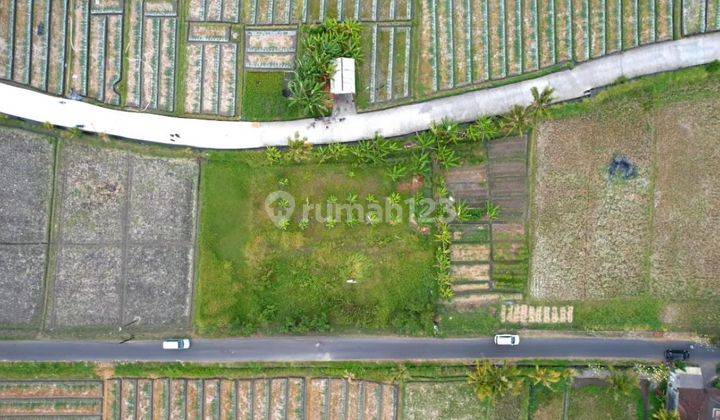 Tanah murah 20 are di Kelating Tabanan , View sawah 2