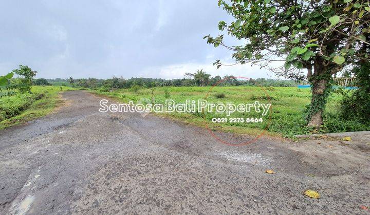 Land 500m² and 630m² at Kedungu Beach Tabanan Bali  2