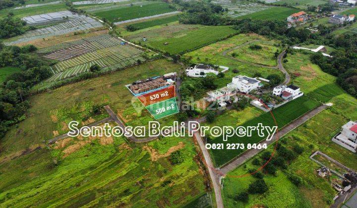 Land 500m² and 630m² at Kedungu Beach Tabanan Bali  1