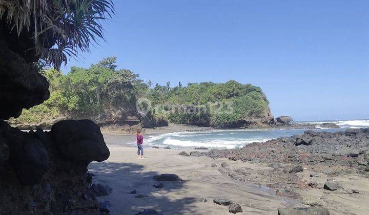 14 are land near Soan Galuh Beach Selemadeg Tabanan  2