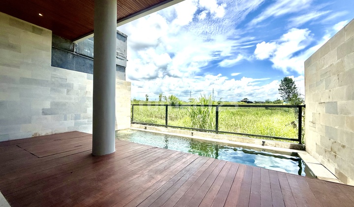 Brand New Modern Minimalist Villa 2br with Rice Field View Brand New Modern Minimalist Villa 2br with Rice Field View