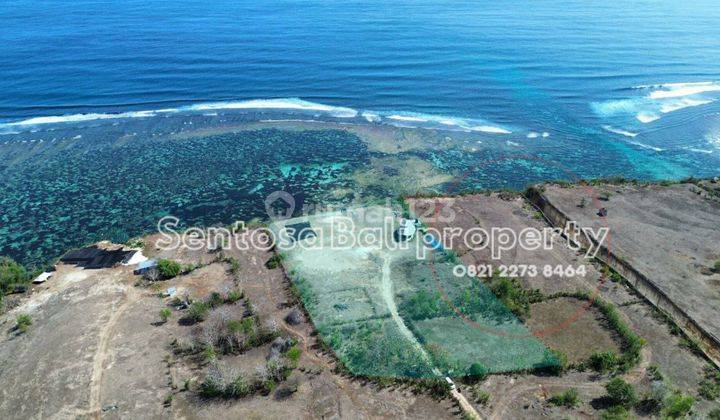 Cliff Front Land Sale 10,000m² Kutuh Ungasan  2