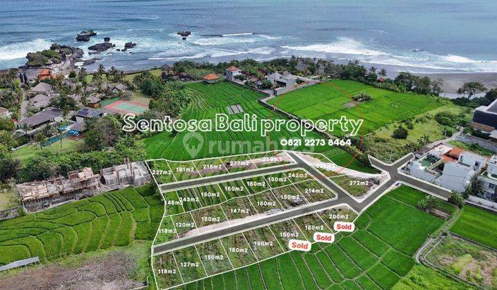 Tanah Kavling di Cemagi Badung Bali View Sawah Dekat Pantai 