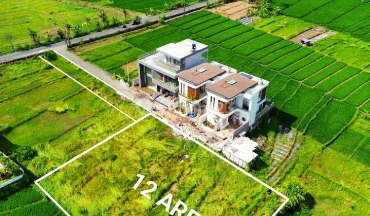 Frehhold land sale Pantai nyanyi Beraban , Tabanan  1