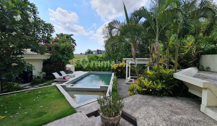 Freehold Rice Field View Villa In Pererenan Canggu 860m² 2