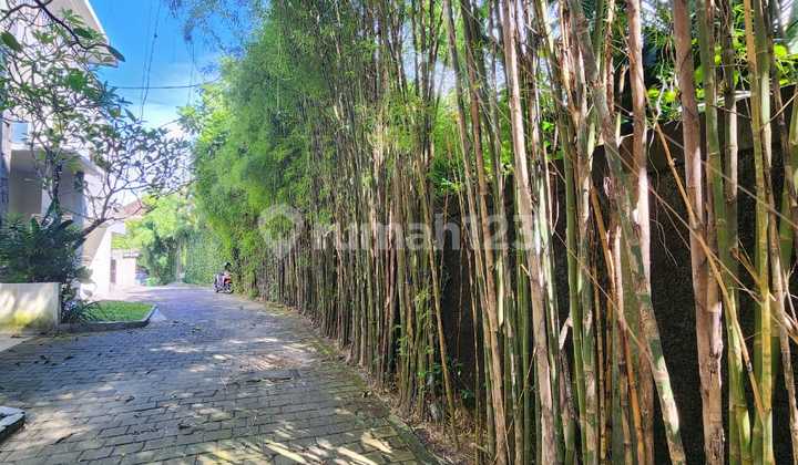Minimalist Modern Villa with Rice Field View in Kerobokan 2