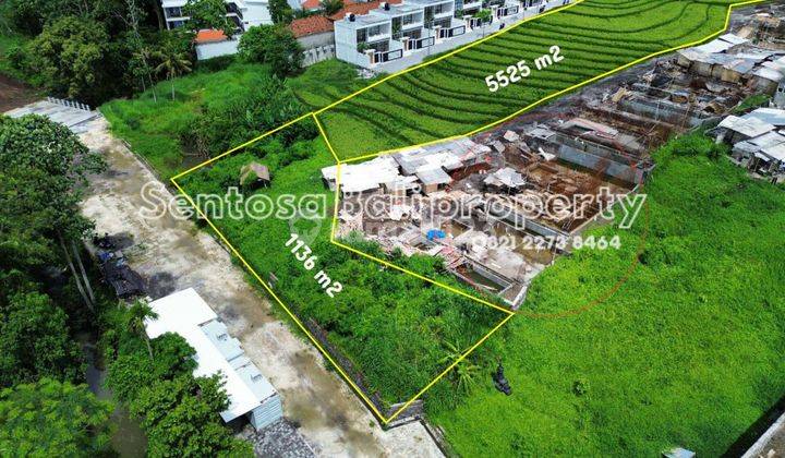 Land For Lease in Pererenan Canggu  , Lingkungan Villa 2