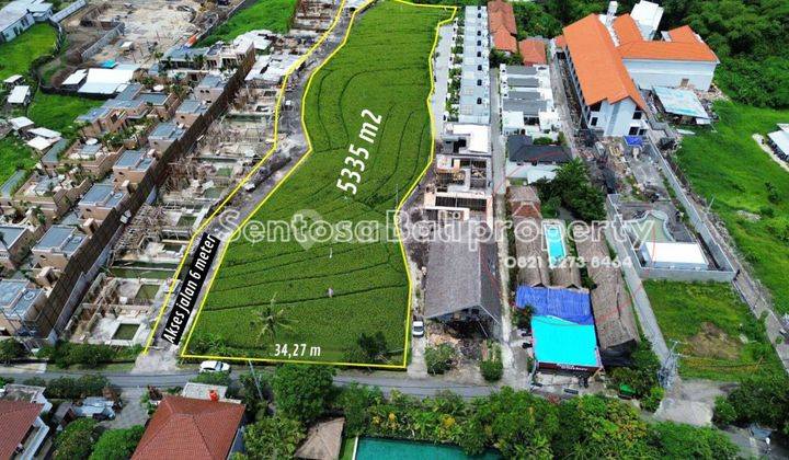 Land for lease 5335m² in Pererenan Canggu  1
