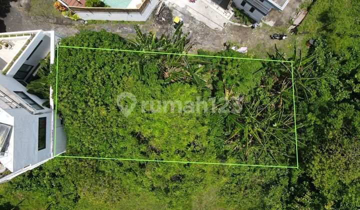 Tanah Murah Tegal Cupek Umalas 307 M²