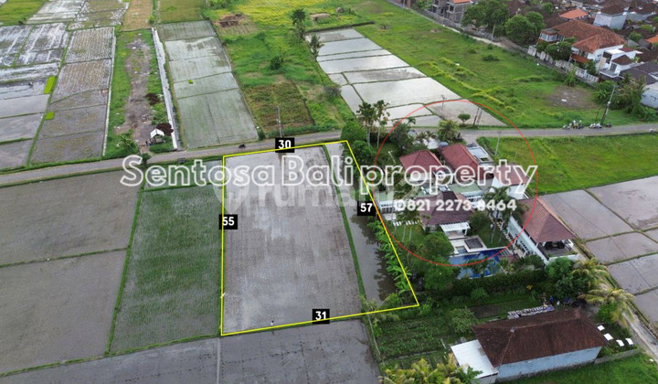 Tanah 1668m² di Pantai kedungu Tabanan Bali