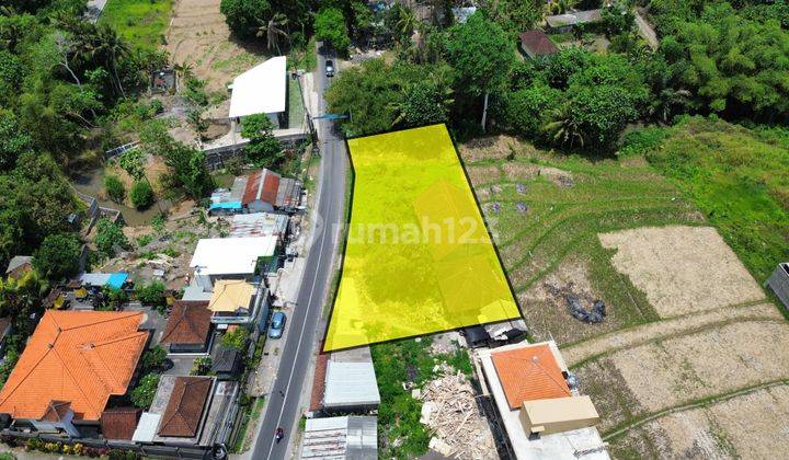 Tanah 1070m² Main Road Daerah Kedungu Beraban Tabanan  1