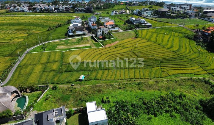 Tanahndi Pantai Mengening 3080m² - Cemagi canggu