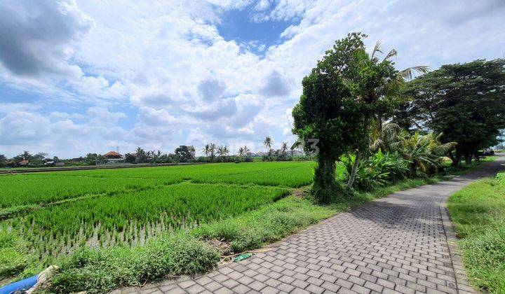 Tanah di Kaba Kaba Tabanan , View Sawah ,cocok Untuk Villa  2