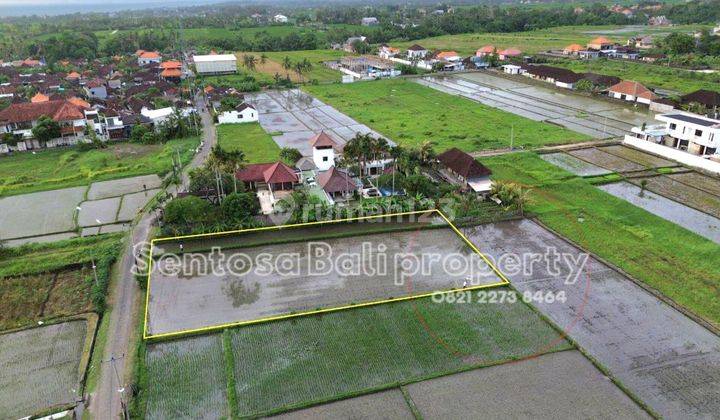 Tanah di Pantai Kedungu Tabanan 1668m² Lingkungan Villa Dan Sawah 1