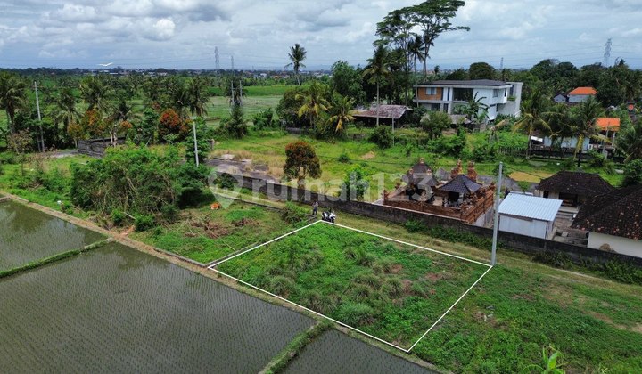Tanah View sawah Green Belt - Kaba Kaba tabanan 200m2