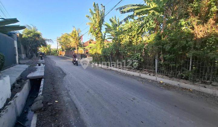 Tanah 500m² di Jln Tengah Umalas , Kerobokan  2