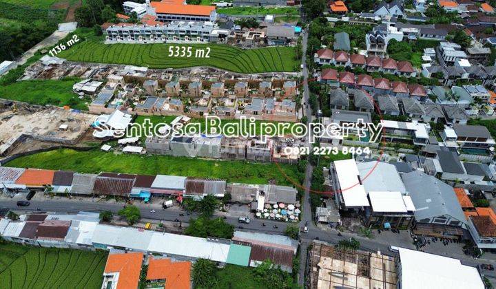 Land for lease 5335m² in Pererenan Canggu  2