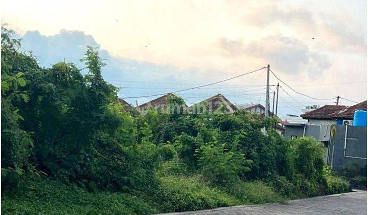 Cheap Land 243m2 in Munggu Near Tumbak Bayuh Pererenan Canggu 2