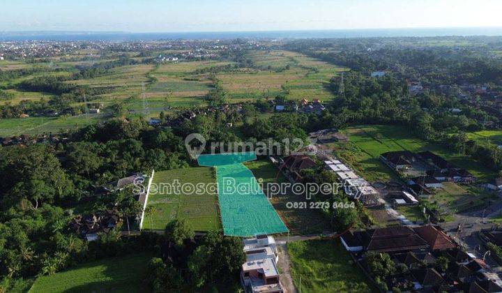Land for lease 4285m2 - Buwit Beraban Tabanan Bali  2