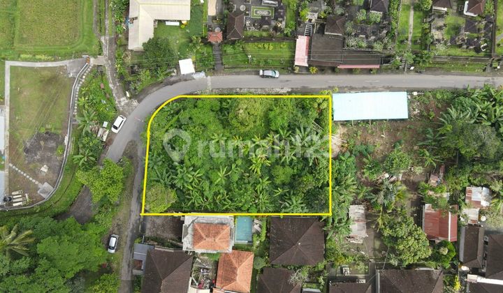 Tanah komersial dijual 1000m² - Kelusa Ubud Bali