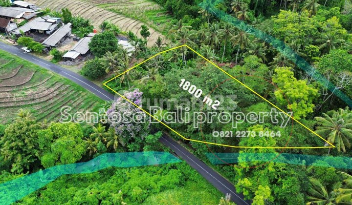 Tanah 1800 M2 di Beraban Selemadeg Tabanan
