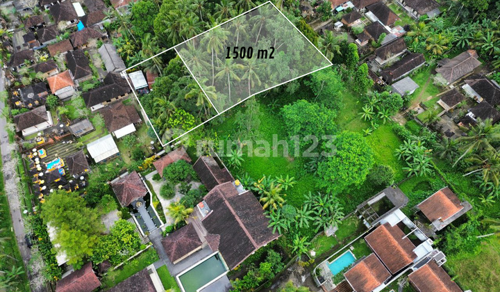 Tanah untuk disewa di Ubud - 1500m2 Pejeng Ubud