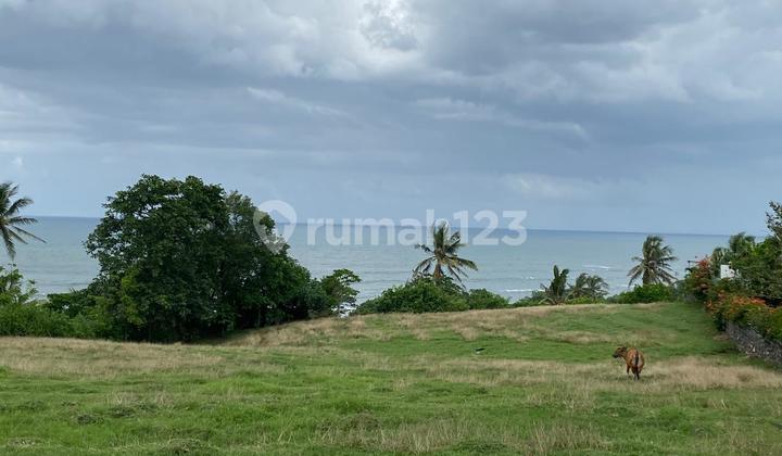 Land View Sea Lalang Lingah Beach Tabanan 6625M2 Land View Sea Lalang Lingah Beach Tabanan 6625M2