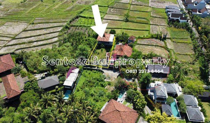 Tanah 436m2 di Lodtunduh Ubud View Sawah , Bonus Bangunan 2