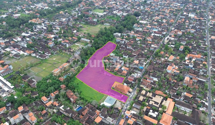 Tanah Disewakan - Pusat Ubud