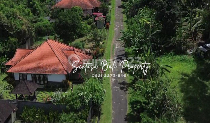 Villa in Tegal Mengkeb, Beraban, Tabanan - 3BR area 489m²