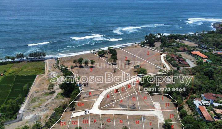 Tanah Kavlinh di Pantai Saba Gianyar , Lingkungan Villa  1