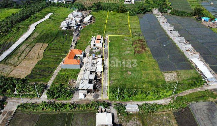 Land 3064m2 Near Seseh Beach, Munggu, Villa Environment 2