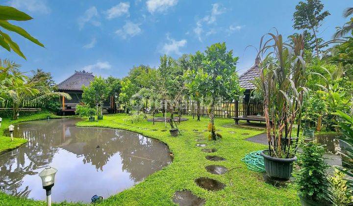 Luxury villa 3600sqm di Apuan Baturiti Tabanan  2