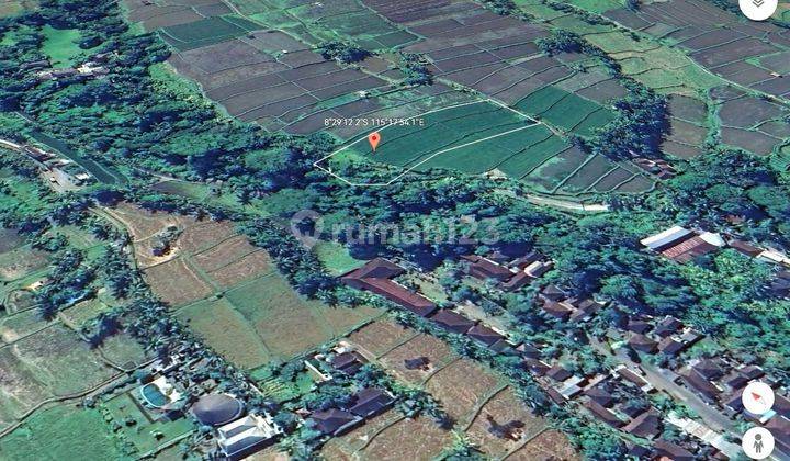 Tanah Murah 4050m2 di Pejeng Kangin Ubud Gianyar , Private akses 2