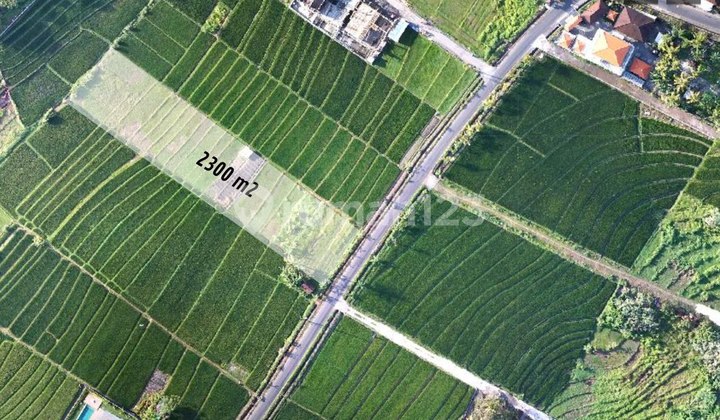 Land at Jl. Pantai Nyanyi 2300m2 - rice field view