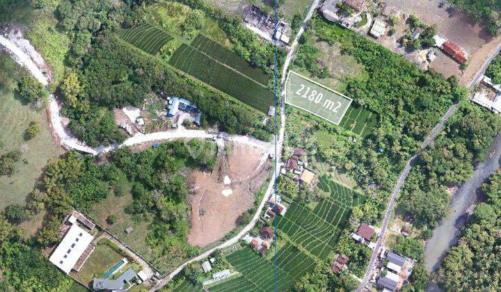 Freehold land sale 2180sqm Nyanyi Beach   1