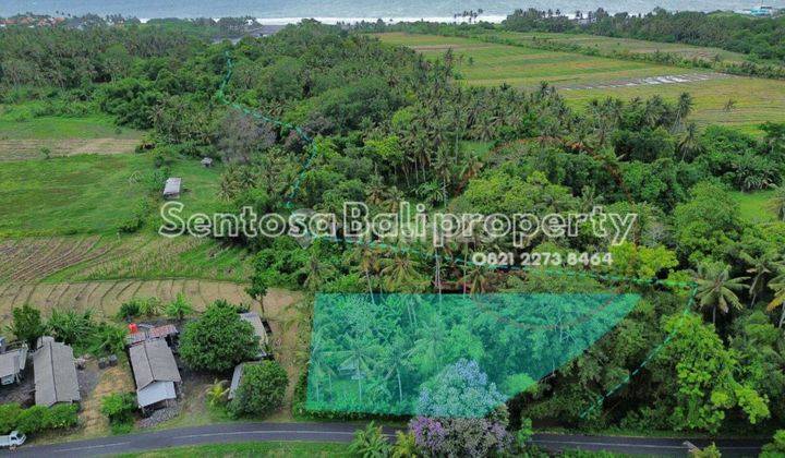 Tanah 1800 M2 di Beraban Selemadeg Tabanan  2