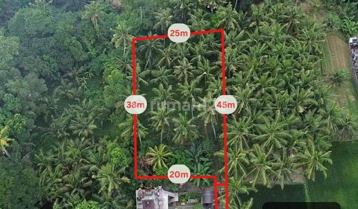 Tanah Murah 930m² di Mas Ubud Gianyar Bali 1